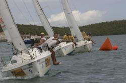 North Sails Regatta