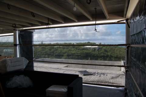 looking out